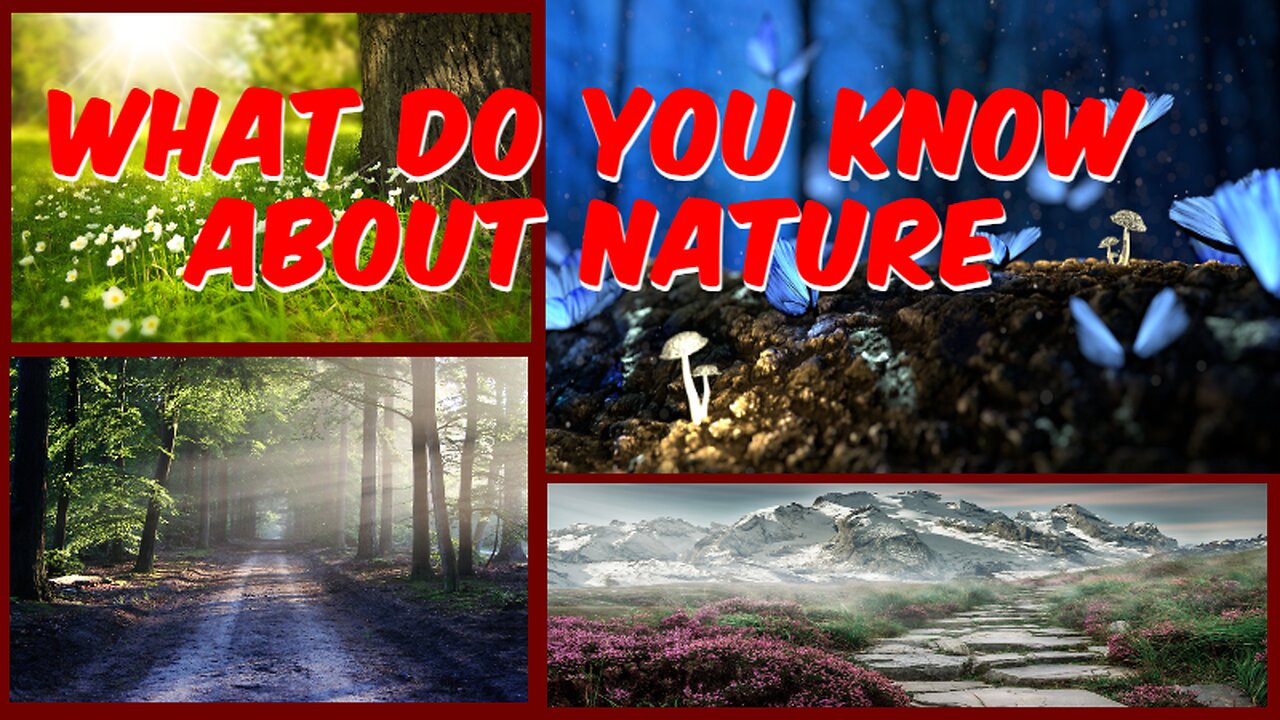 Unveiling Nature's Wonders Amazing Fact 2023