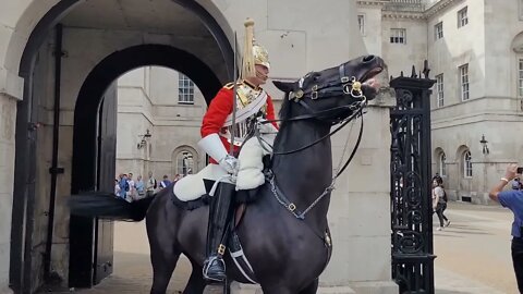 28 August 2022 stand back from the Queens life guard #horseguardsparade