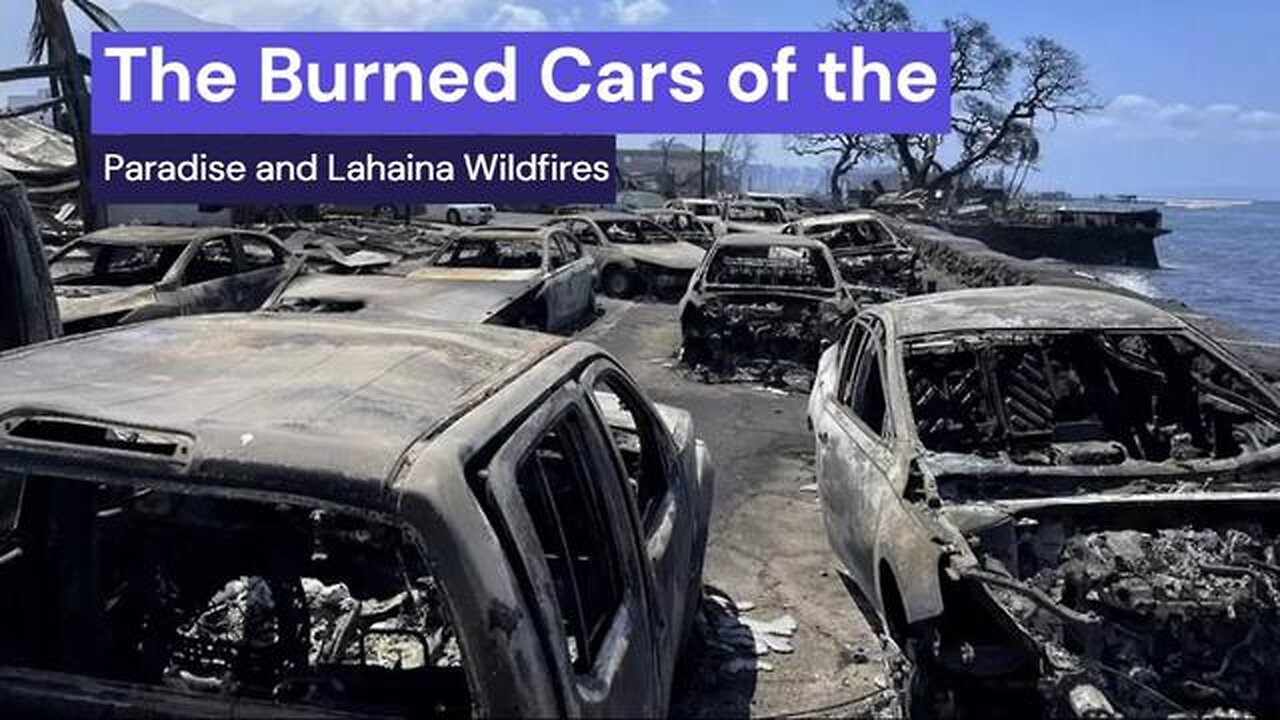 SHOCKING VIDEO: THE BURNED CARS OF THE PARADISE, CALIFORNIA AND LAHAINA, HAWAII DEW FIRES