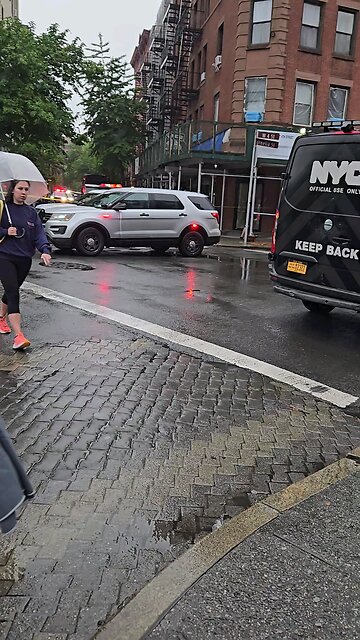 What Happened in Greenwich Village