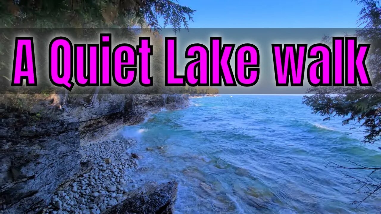 4k Woods & Waves Along Lake Michigan