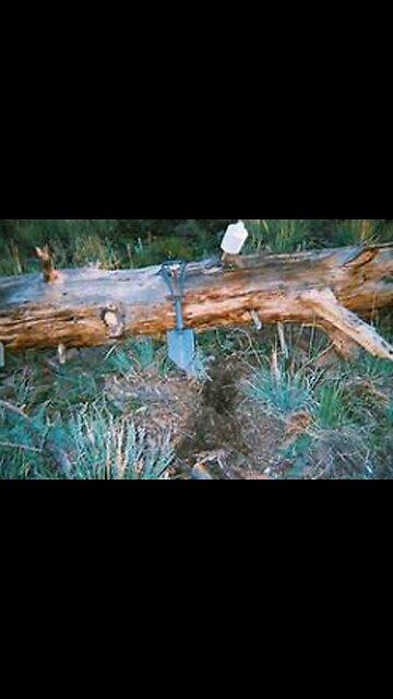 That was a shit idea!!!!