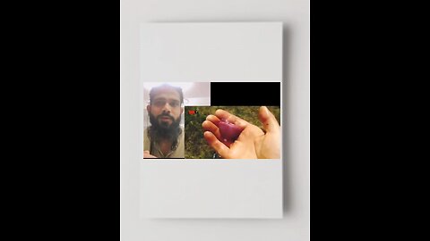Reaction video