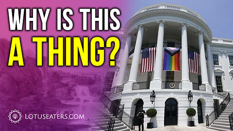 The America Question