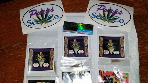 Mail Call Pakalo Purps Purps Seed Co. giveaway!