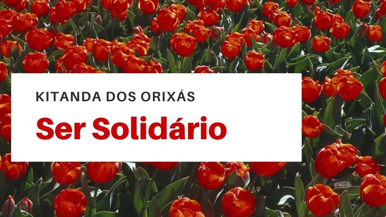Ser solidário.