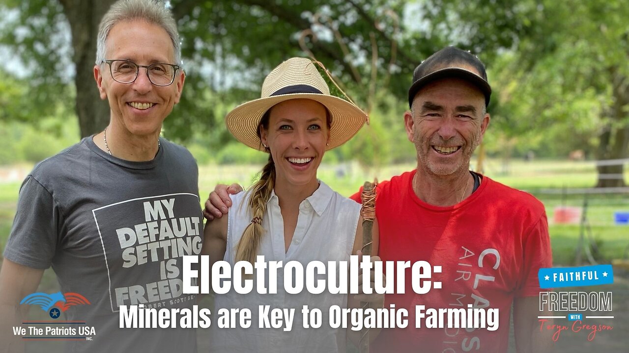 Minerals are the Key to Organic Gardening, How to Benefit from Electroculture | Teryn Gregson Ep 104