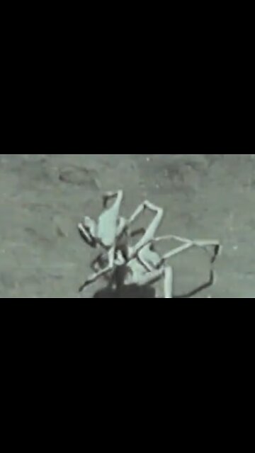 Creepy Video From 1987 or AI ?