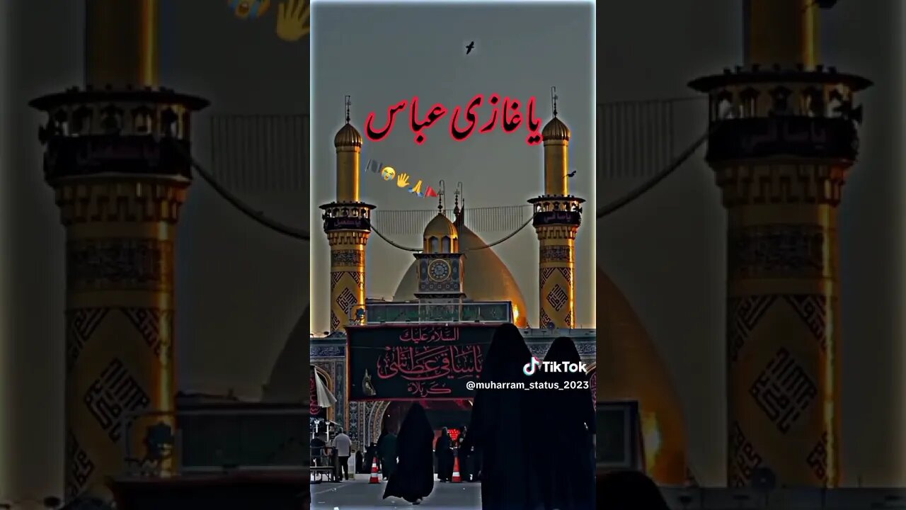 muharram status 2023 🚩😭ghazi abbas alamdar 🏴🙏