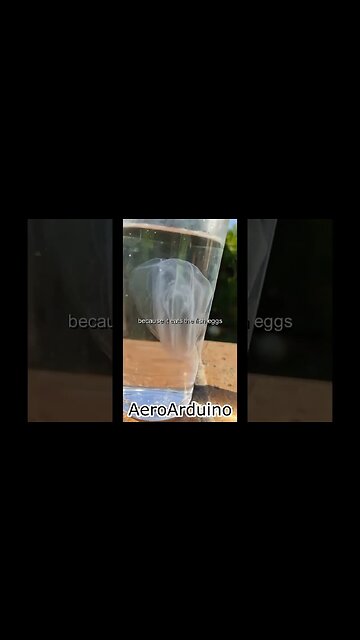 Weirdest Sea Creature I 've Ever Seen in Water #AeroArduino