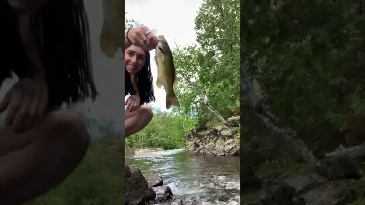 Can’t get enough of these Smallies 😍