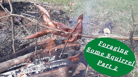 Boy Scout Flint and Steel Fire Building AND Foraging for Squirrel Part 2