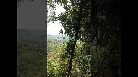 Di ketinggian gunung