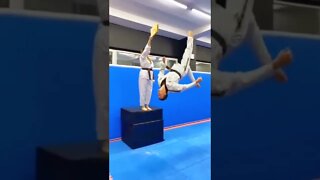 Taekwondo Chute shorts