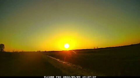 Sheep Field Sunset in Mendon, MI