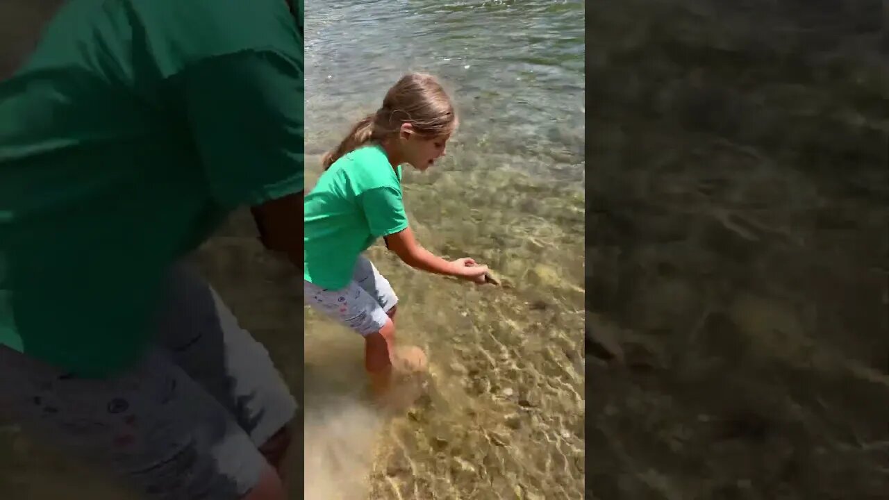 Adalyn’s first Brown fishing in the Manistee River