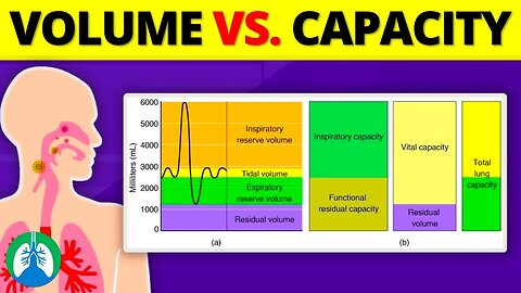 Lung Volumes vs. Capacities *Quick Explainer Video*