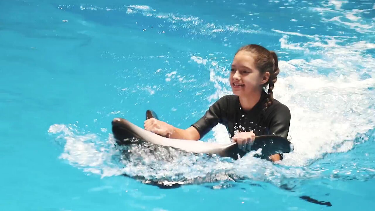 dolphine enjoy with girl amazing