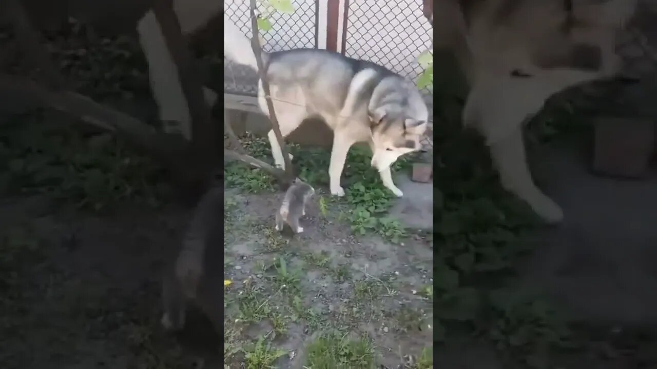 INCREVA POR FAVOR - ENTRETENIMENTO