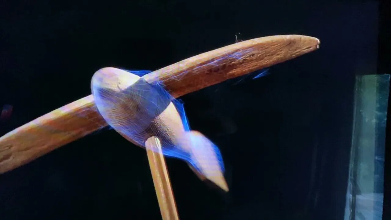 History is a fairy story