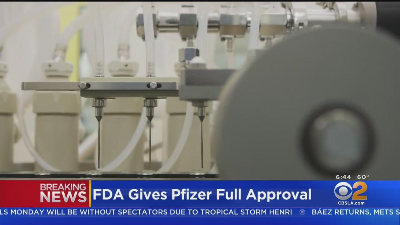 Joel & Pat's Wake Up Call 08-24-2021 FDA Approval, What Will Our Next Step Be...