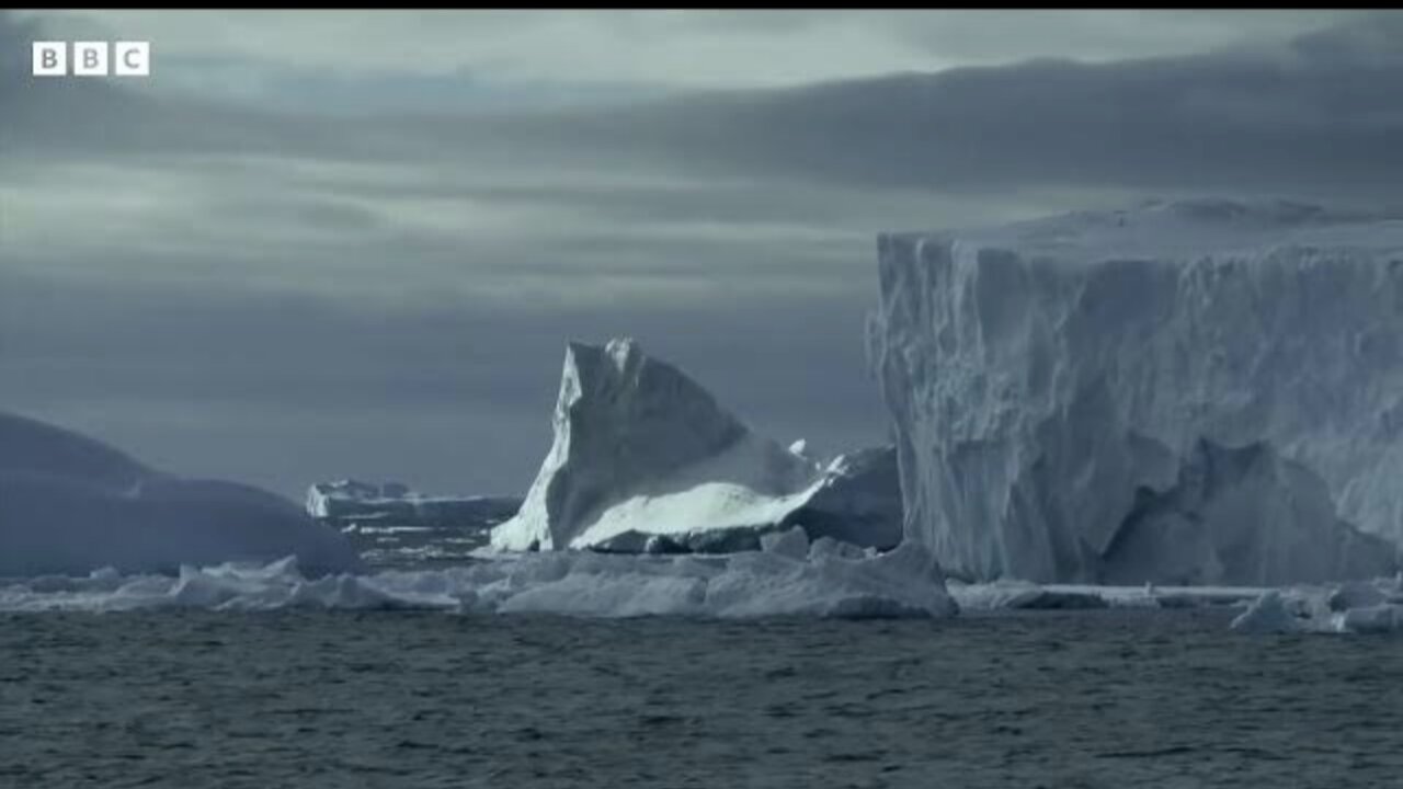 Antarctic winter sea-ice reaches record lows - BBC News