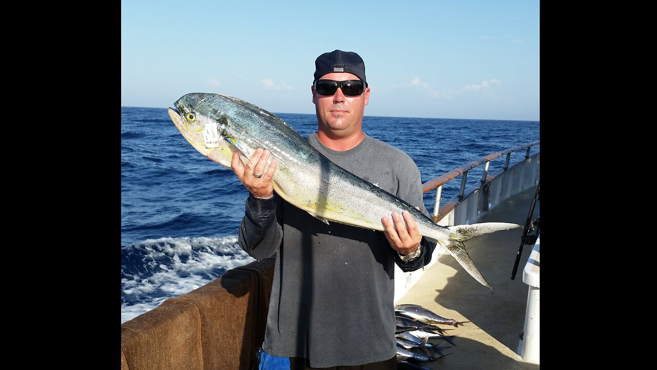 (10) 09/15/2014 - Yellowfin tuna fishing aboard the Sea Watch out of Seaforth Sportfishing.