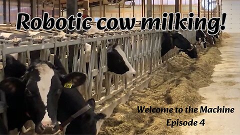 Robotic cow milking at J-Springs Dairy - Welcome to the Machine Episode 4