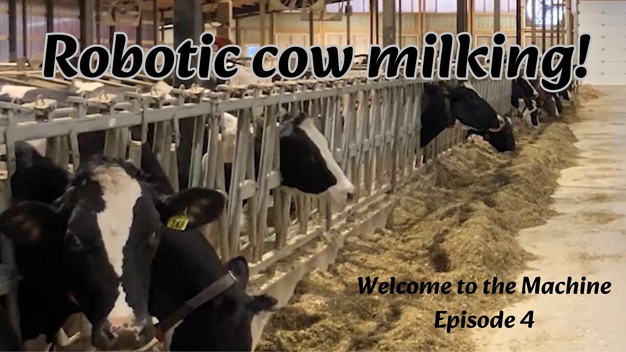 Robotic cow milking at J-Springs Dairy - Welcome to the Machine Episode 4