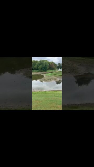 Texas Drought Devastation