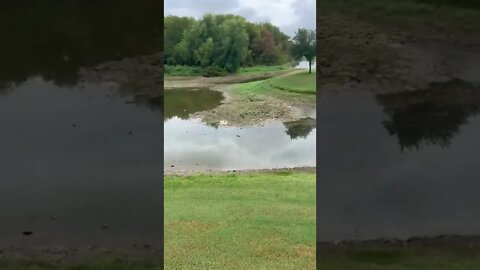 Texas Drought Devastation