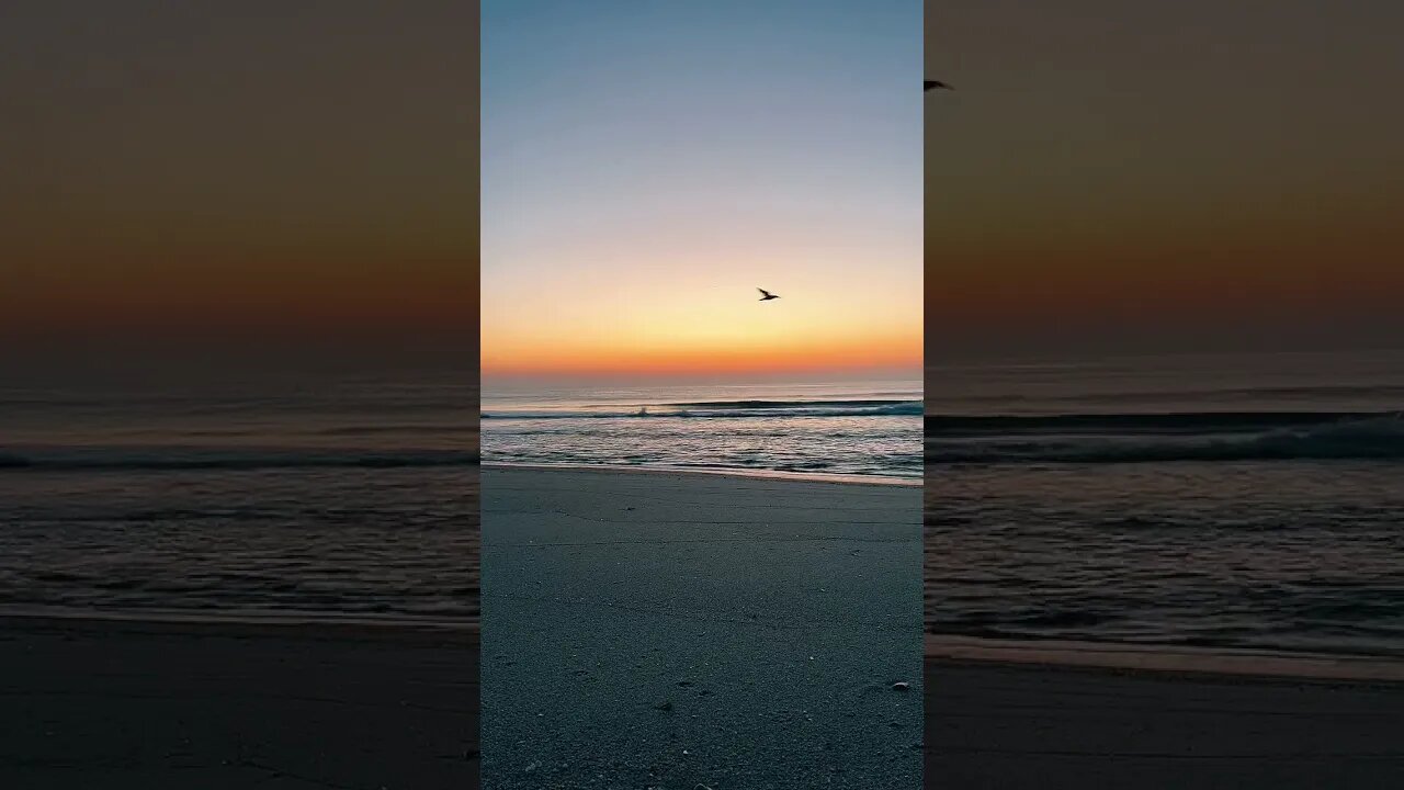 Seasideheightsnj sunrise #relax #meditation #beach #ocean #dolphin