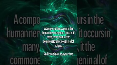 Dimethyltryptamine the quintessential hallucinogen #dmt #terencemckenna #5meodmt ￼