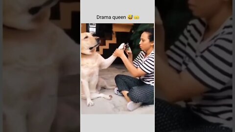 The Oscar goes to....