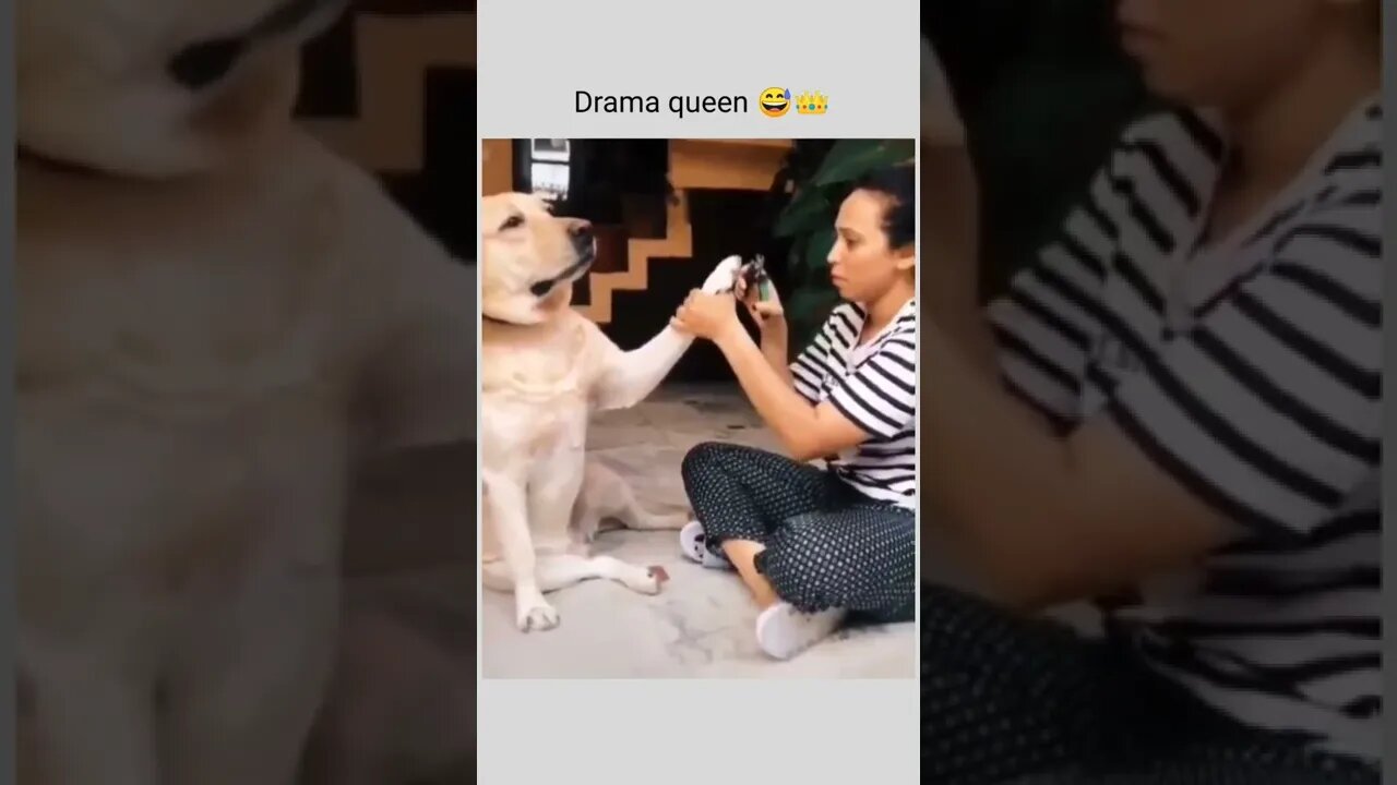 The Oscar goes to....