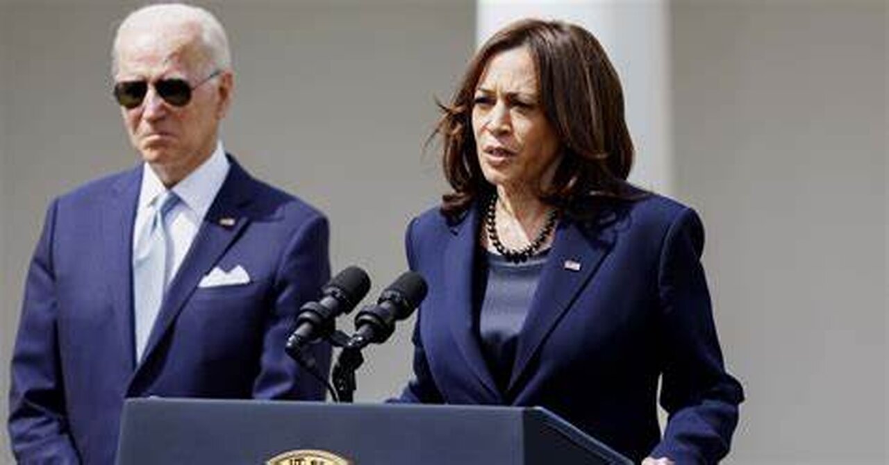 Should Kamala Harris 'Step Aside' if US President Withdraws?