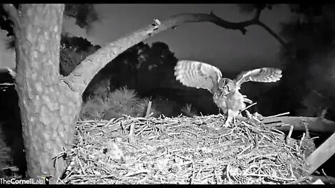 Mom's AM Break Leave & Return 🦉 3/3/22 06:01