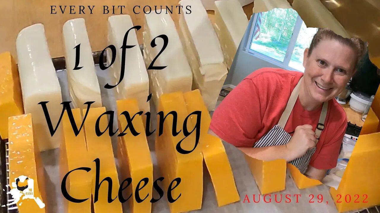 Waxing cheese #1 of 2 | #everybitcountschallenge | Alaska Garden Update