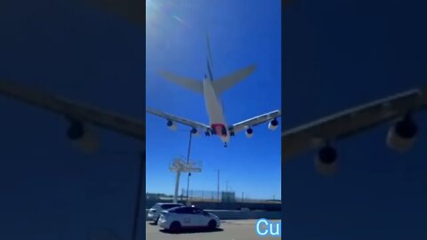 Amazing video