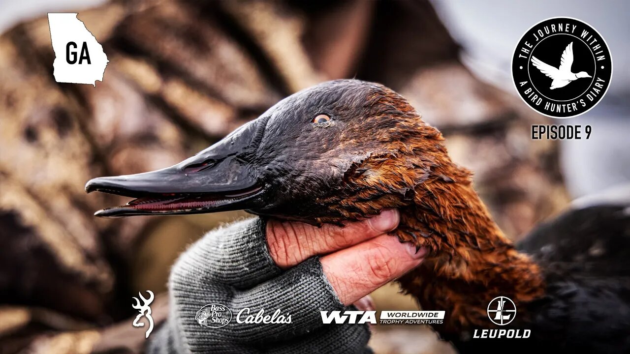 Hunting Canvasbacks: Georgia | The Journey Within - Waterfowl Slam