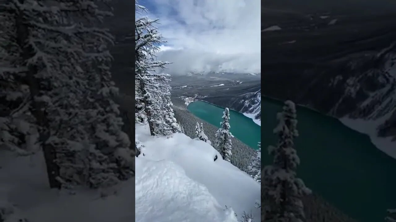 Amazing View Tiktok samanthalreid
