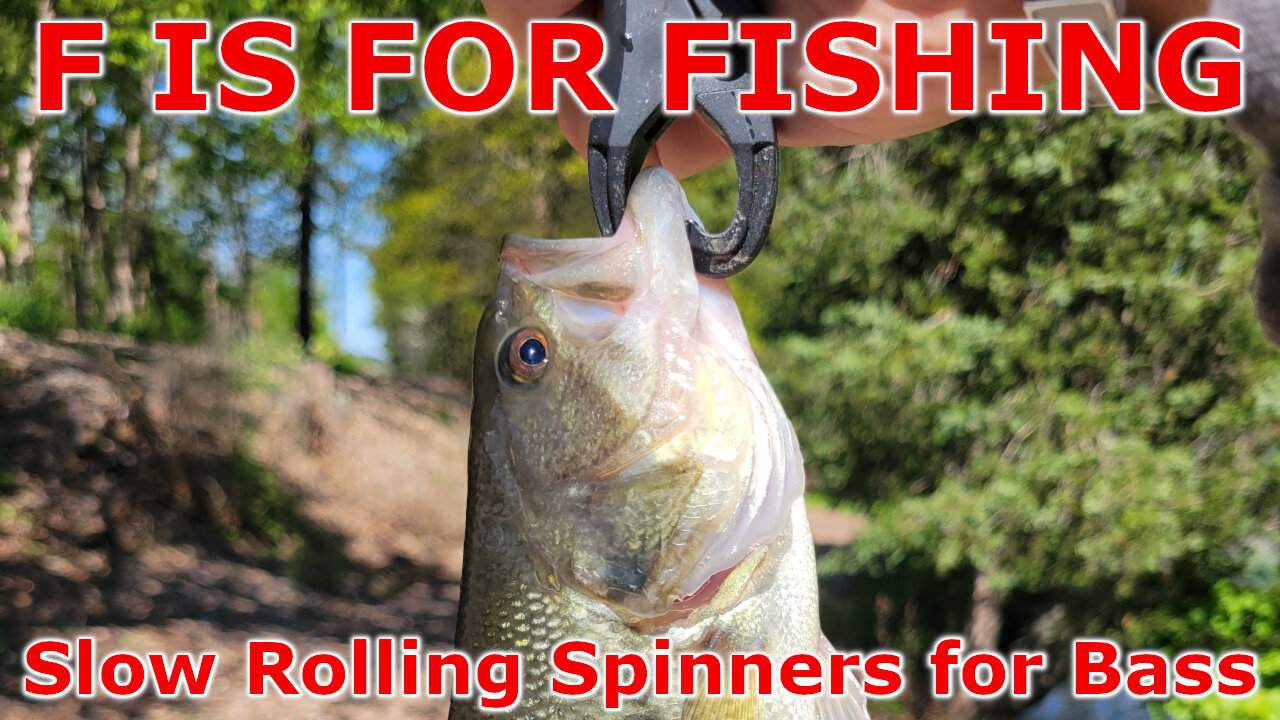 Slow Rolling Spinners for Bass