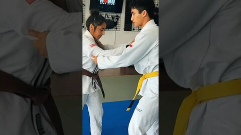 Judo is the best! #shorts #judo #Judoka #IJF #MartialArts #Grappling #Throwing #youtubeshorts