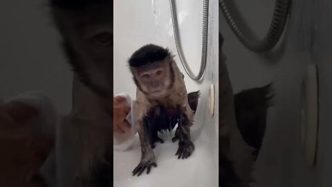 Get up and wash ya booty! Its the weekend and today is moms birthday!!