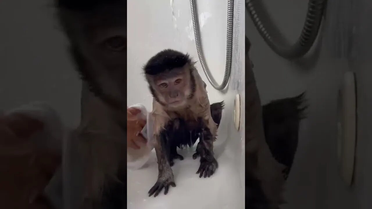 Get up and wash ya booty! Its the weekend and today is moms birthday!!