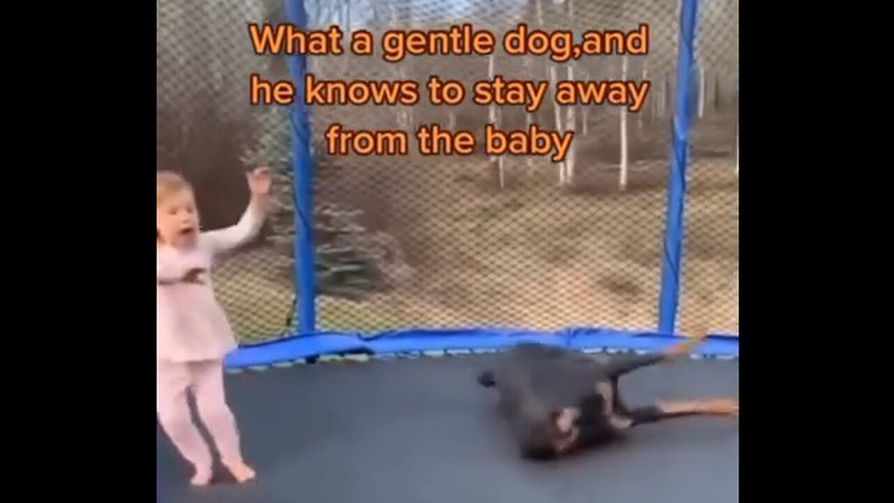 Children & Their Dogs Compilation