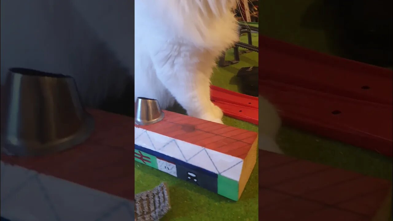 Short version of playing games with the cat, link to the full video in the description.