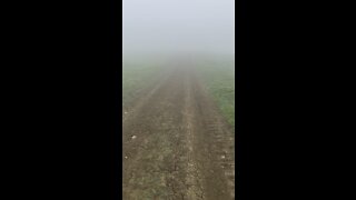 Hiking in Fog vs No Fog