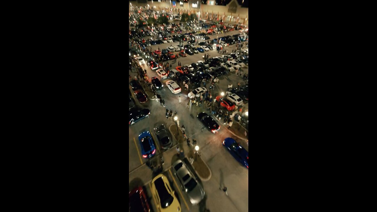 car lover
