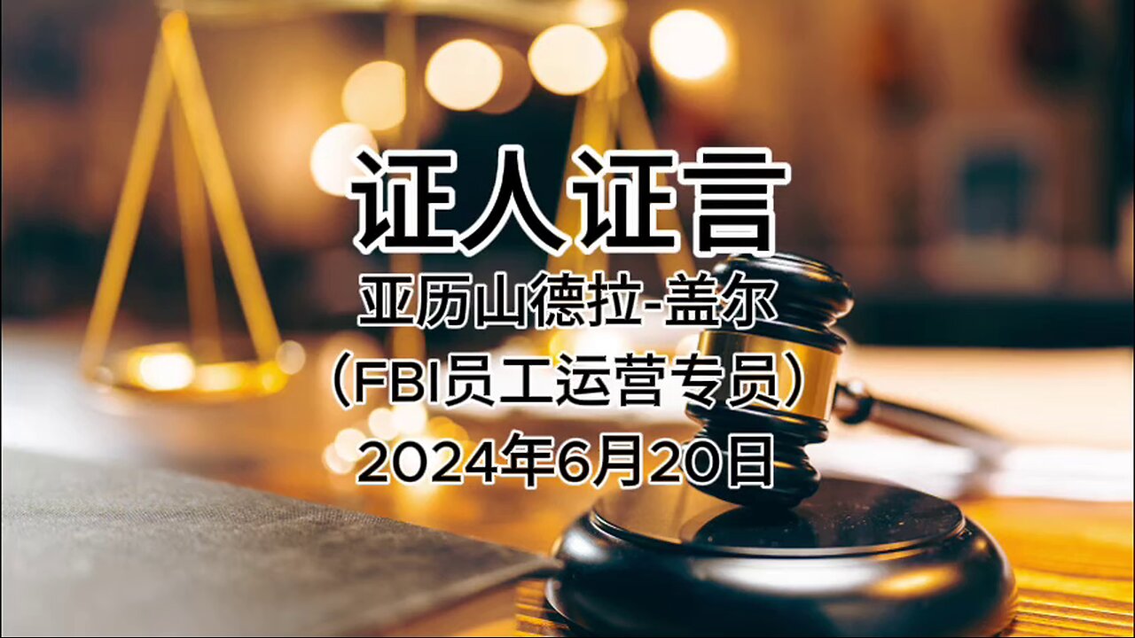 证人证言 EP45｜郭文贵先生庭审检方第22位证人亚历山德拉·盖尔，FBI员工运营专员｜全部证词｜AI音频笔录中文朗读 #证人证言 MILESTRIAL #中共头号敌人 灭共者 郭文贵 MilesGuo NFSC 新中国联邦